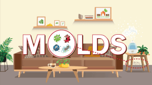 tips to prevent-mold-growth